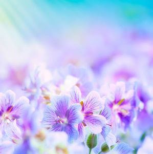 Meet your Posher, Maya